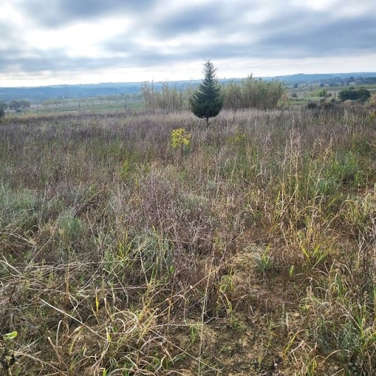  Terra d'oc immo : Ground | PAULHAN (34230) | 0 m2 | 15 000 € 