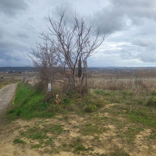 Terra d'oc immo : Terrain | PAULHAN (34230) | m2 | 15 000 € 