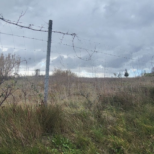  Terra d'oc immo : Ground | PAULHAN (34230) | 0 m2 | 15 000 € 