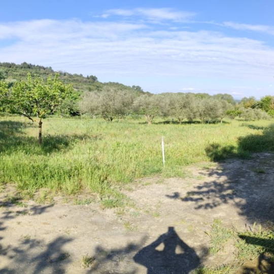  Terra d'oc immo : Terrain | MONTAGNAC (34530) | 0 m2 | 58 000 € 