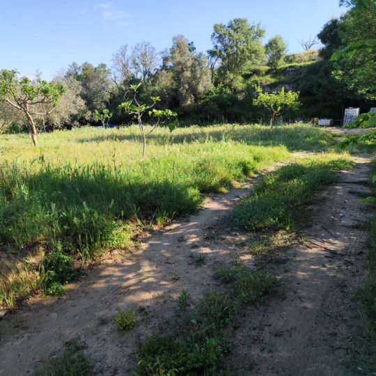  Terra d'oc immo : Terrain | MONTAGNAC (34530) | 0 m2 | 58 000 € 