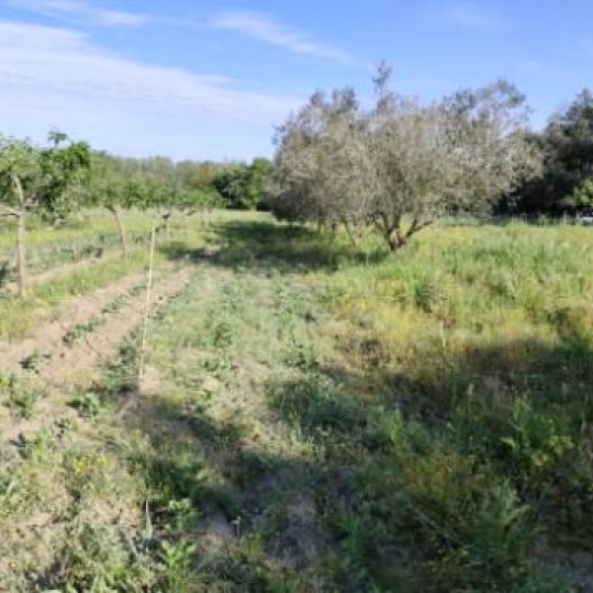  Terra d'oc immo : Terrain | MONTAGNAC (34530) | 0 m2 | 58 000 € 