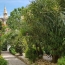  Terra d'oc immo : Maison / Villa | MONTAGNAC (34530) | 168 m2 | 359 000 € 