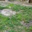  Terra d'oc immo : House | MONTAGNAC (34530) | 72 m2 | 86 500 € 