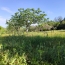  Terra d'oc immo : Terrain | MONTAGNAC (34530) | 0 m2 | 58 000 € 