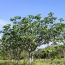  Terra d'oc immo : Terrain | MONTAGNAC (34530) | 0 m2 | 58 000 € 