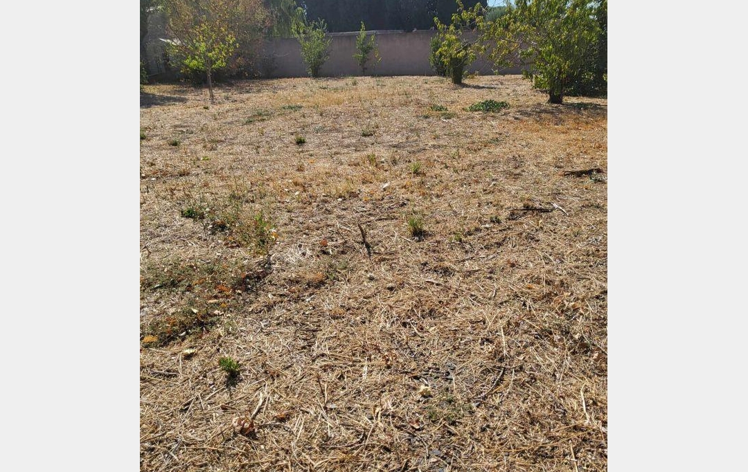 Terra d'oc immo : Terrain | MONTAGNAC (34530) | 0 m2 | 161 000 € 