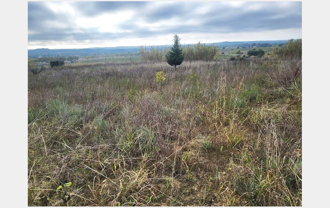 Terra d'oc immo : Ground | PAULHAN (34230) | 0 m2 | 15 000 € 