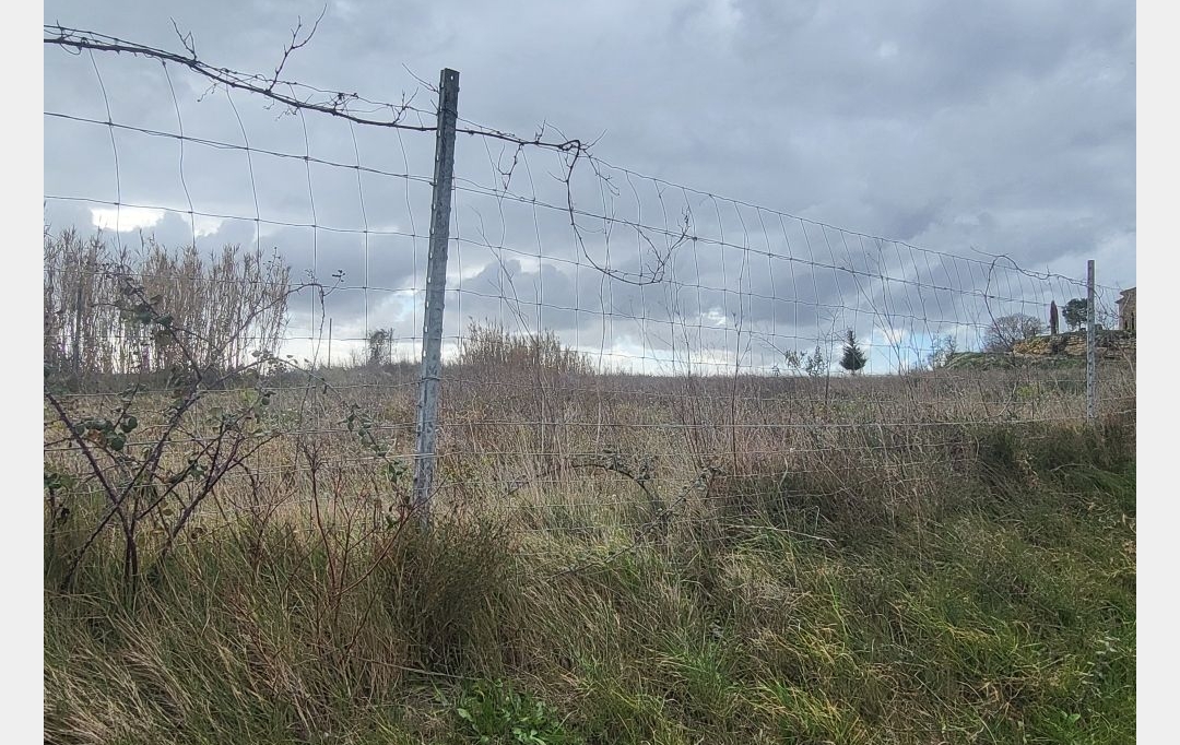 Terra d'oc immo : Ground | PAULHAN (34230) | 0 m2 | 15 000 € 