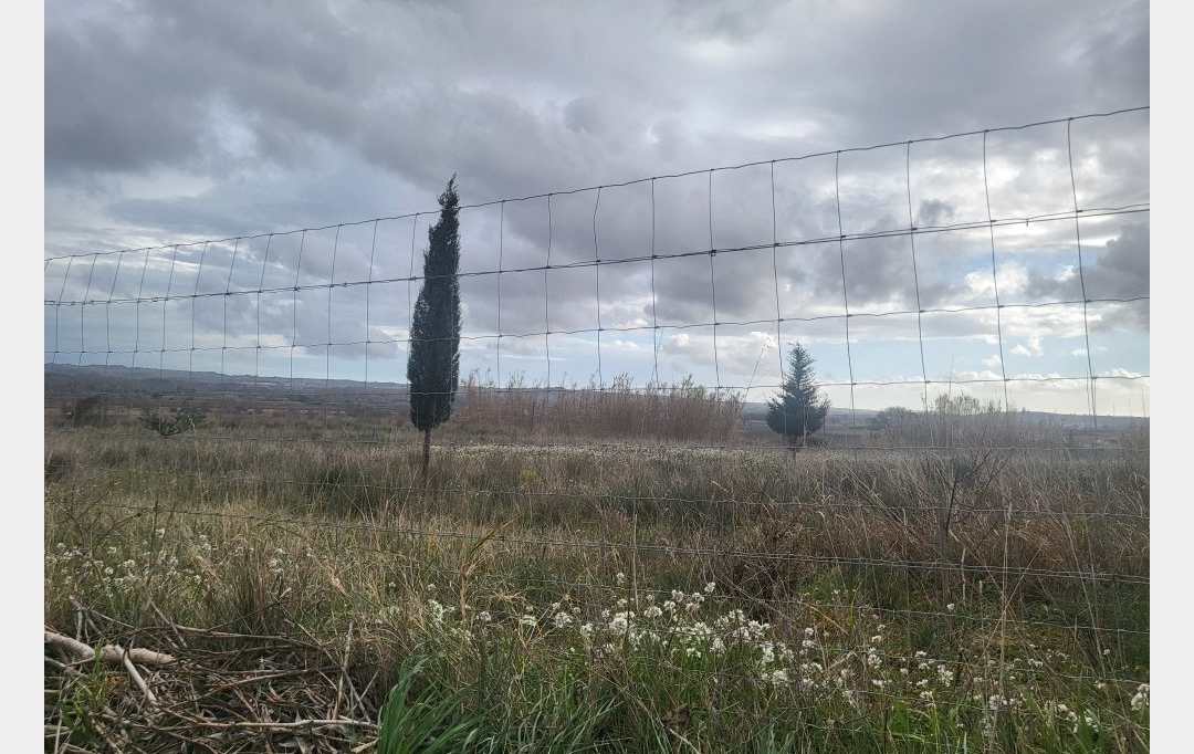 Terra d'oc immo : Ground | PAULHAN (34230) | 0 m2 | 15 000 € 
