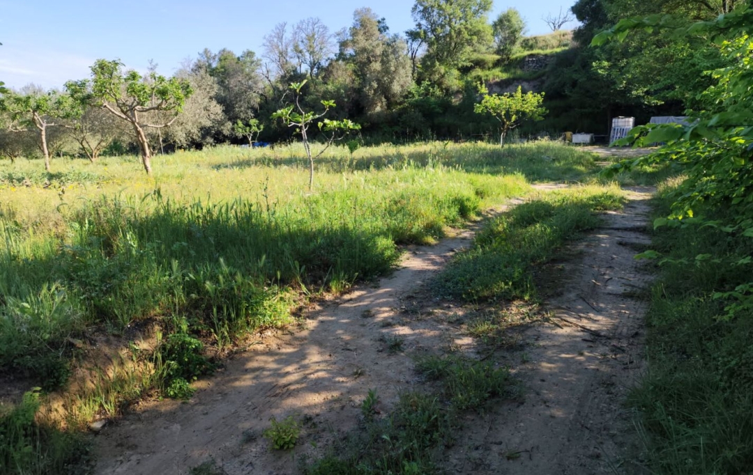 Terra d'oc immo : Terrain | MONTAGNAC (34530) | 0 m2 | 58 000 € 