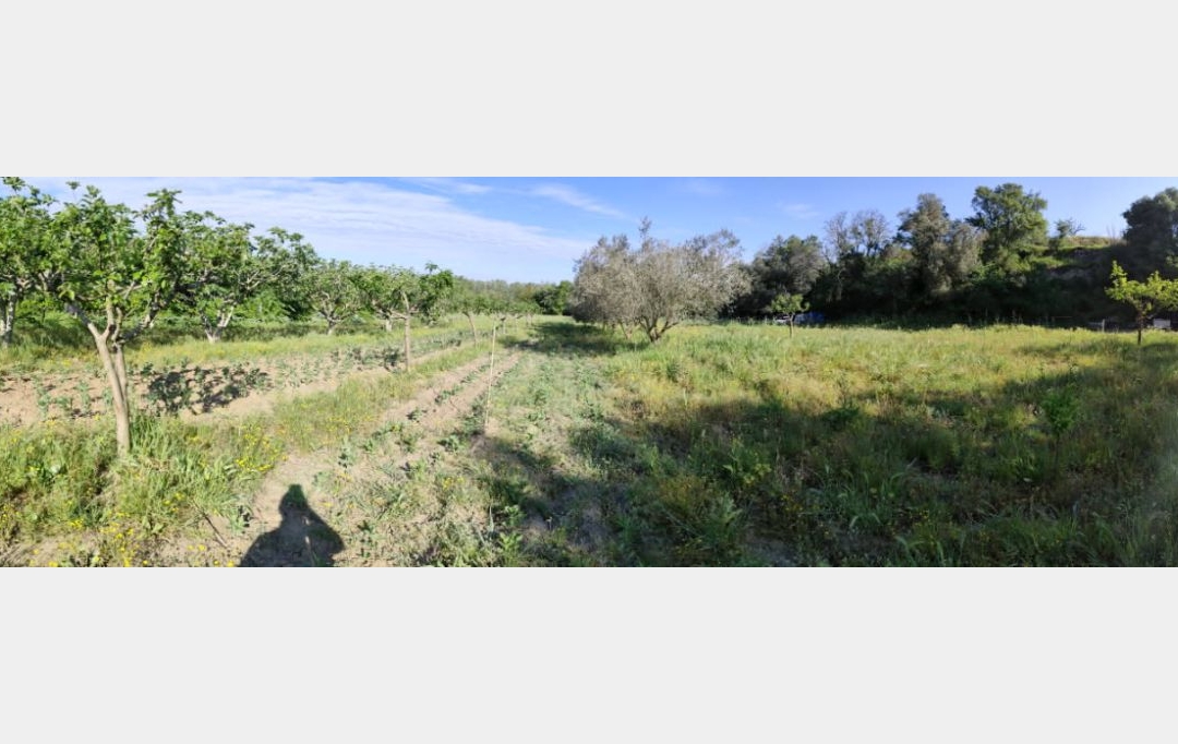 Terra d'oc immo : Terrain | MONTAGNAC (34530) | 0 m2 | 58 000 € 