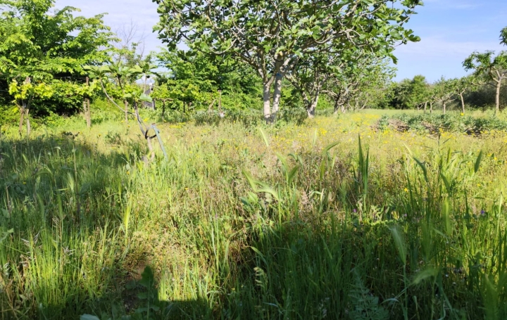 Terrain MONTAGNAC 58 000 € Terrain MONTAGNAC 58 000 €